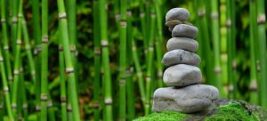9stacks This Month: Step-by-Step Guide for India (2027)